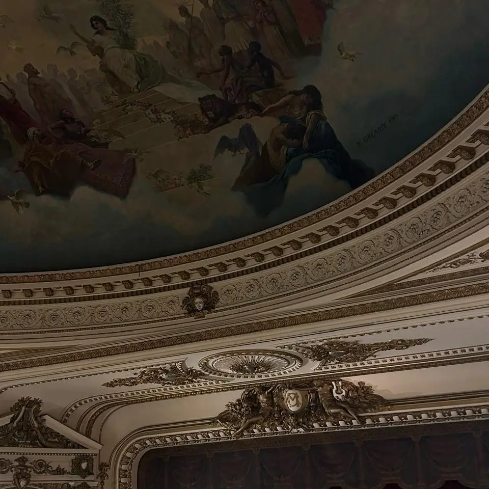 El techo del la biblioteca el ateneo